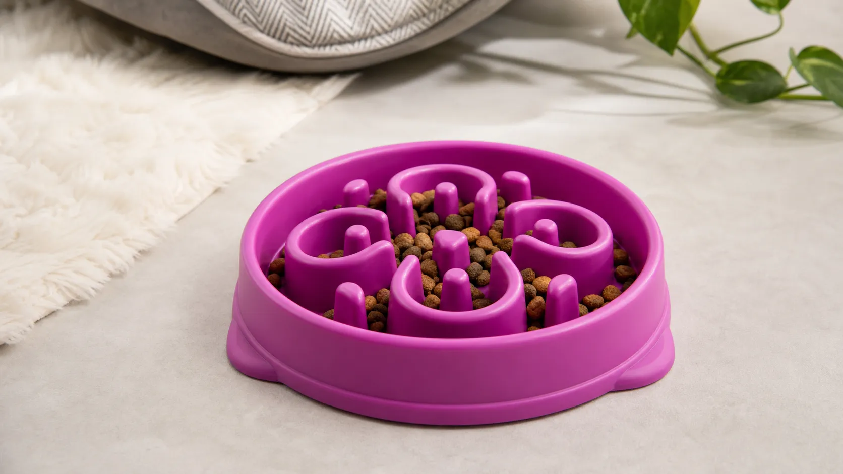 Outward Hound Fun Feeder Slo‑Bowl Review — 2026