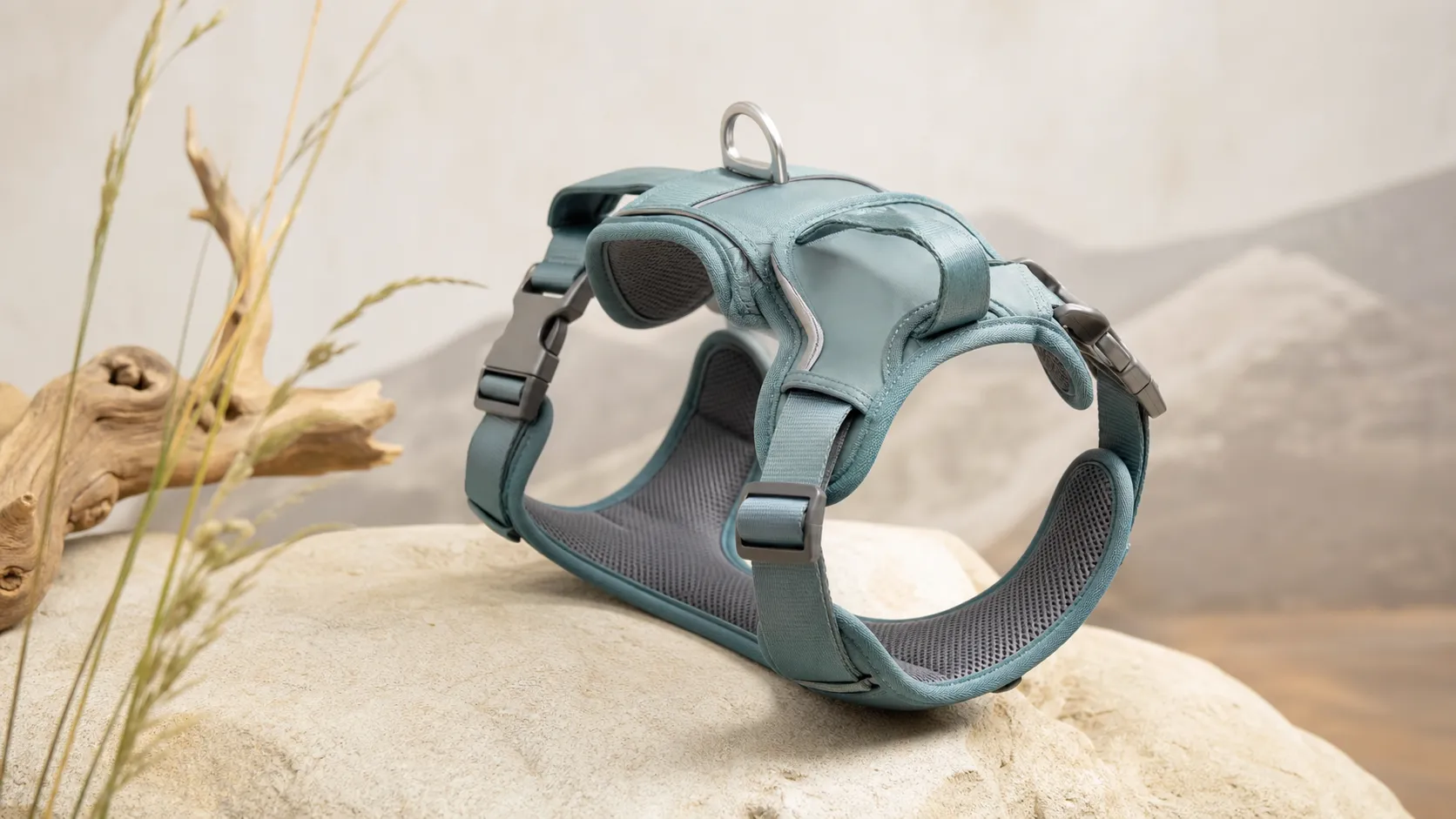 Kurgo Wander Dog Harness Review 2026