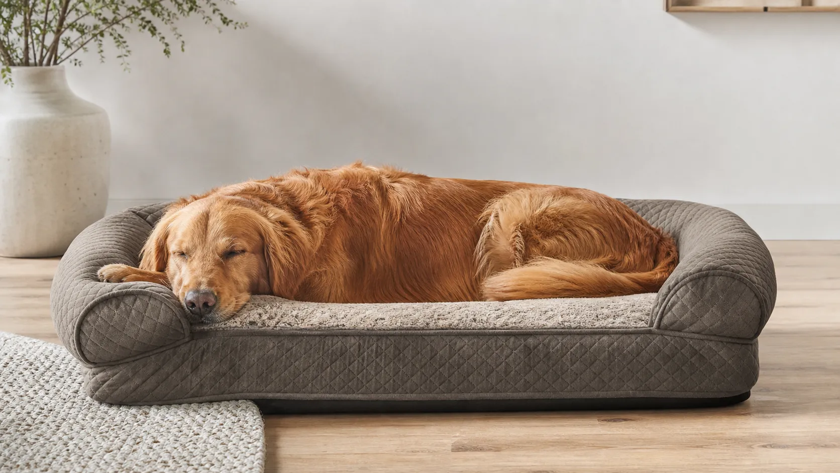 K&H Pet Ortho Bolster Dog & Cat Bed Review 2026